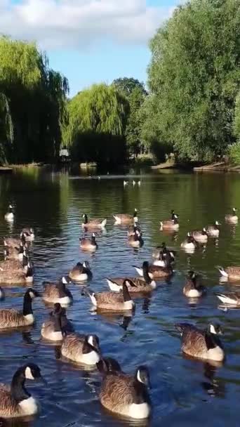 Vista Diurna Del Parque Público Local Ciudad Luton Inglaterra — Vídeos de Stock