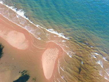 Deniz kıyısının güzel manzarası