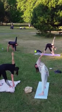 ENGLAND, LUTON TOWN - 04th April 2022: Genç İngiliz Kadınlardan oluşan bir grup, Wardown Halk Parkı Yüksek Açılı Görüntü Parkı 'nda egzersiz yapıyor. Luton Kasabası 'nda Parlak Güneşli Gün