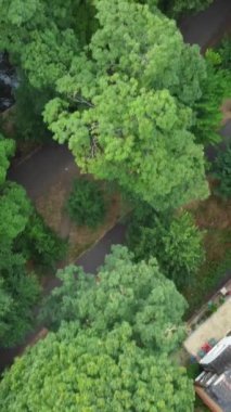 İngiltere Yerel Parkı Büyük Britanya