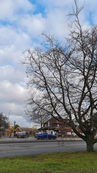 Ngiltere Birleşik Krallık Ocak 2023 Yoldaki Ağaçlar — Stok fotoğraf