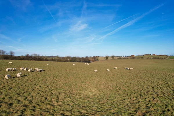 stock image High Angle View of English Countryside at Sunny Day