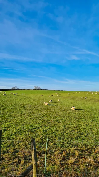stock image High Angle View of English Countryside at Sunny Day