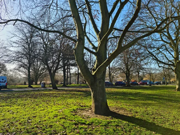 Beautiful View Public Park Bedford — Stock Photo, Image