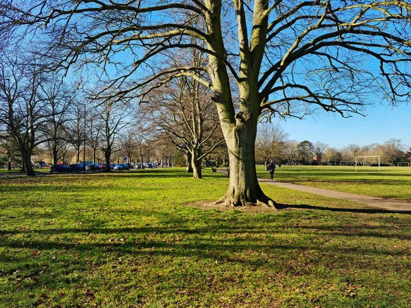 Panoramic View Bedford City Park — Stock Photo, Image