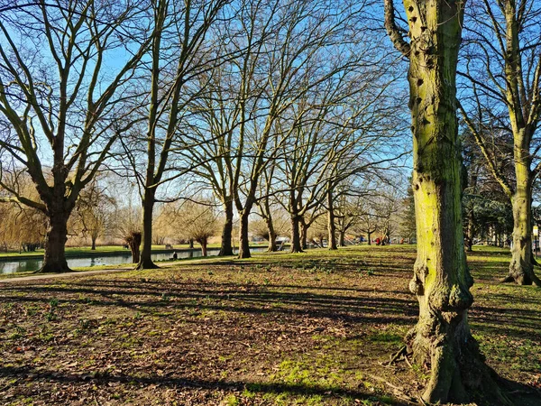 Hermosa Vista Del Parque Público Bedford — Foto de Stock