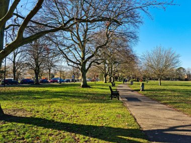 Bedford 'daki Kamu Parkının Güzel Manzarası