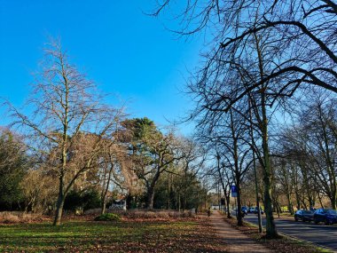 Bedford 'daki Kamu Parkının Güzel Manzarası