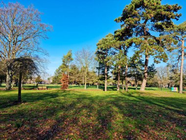 Bedford 'daki Kamu Parkının Güzel Manzarası