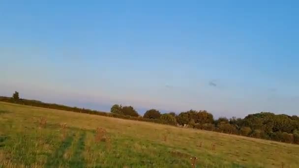 Drohnenflug Offenen Feld Von Sharpenhoe Clappers Valley England Bei Sonnenuntergang — Stockvideo