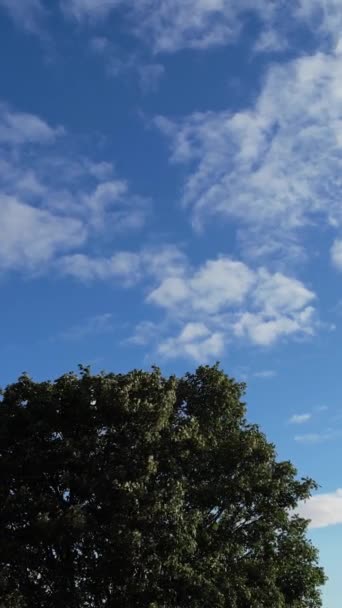 Schöne Aufnahmen Aus Dem Hochwinkel Dramatischer Wolken Und Himmel — Stockvideo