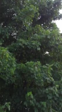 İngiltere 'de İngiliz Karayolları ve Trafik Yüksek Açı Hava Görüntüsü