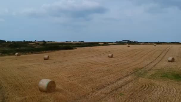 Ngiltere Birleşik Krallık Eylül 2022 Saman Balyalarıyla Ngiliz Kırsalının Panoramik — Stok video