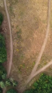 İngiltere 'nin Luton kasabasındaki yerel halk parkının yüksek açılı görüntüleri.