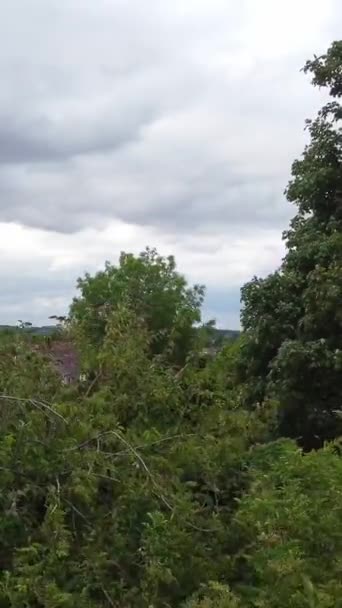 Daytime View Local Public Park Luton Town England — Stock video