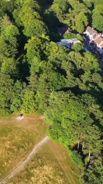 イングランドのルトン町の地方公共公園の高角度映像 — ストック動画