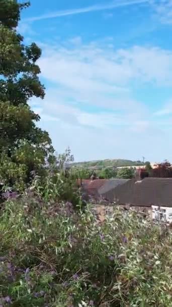 Vista Diurna Del Parque Público Local Ciudad Luton Inglaterra — Vídeo de stock