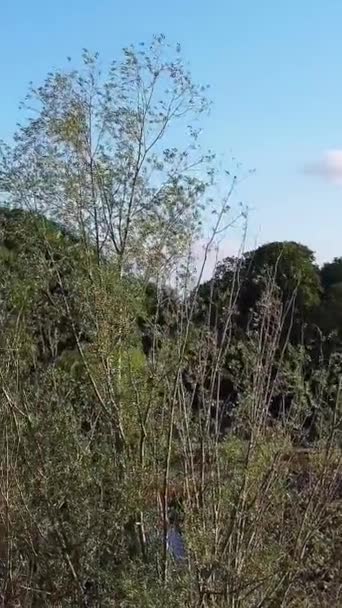 英国Luton镇地方公园的高角度镜头 — 图库视频影像