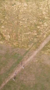 İngiltere 'nin Luton kasabasındaki yerel halk parkının gündüz görüntüsü.