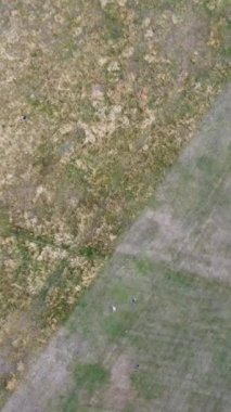 İngiltere 'nin Luton kasabasındaki yerel halk parkının gündüz görüntüsü.