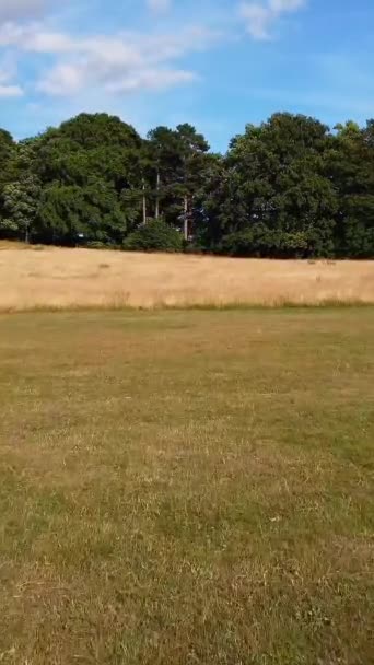 Tagsüber Ansicht Des Lokalen Öffentlichen Parks Der Stadt Luton England — Stockvideo