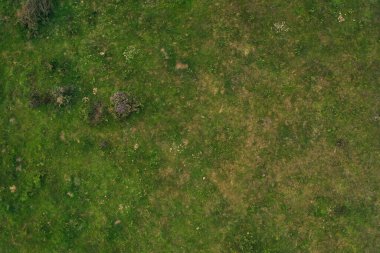 İngiltere 'nin Crowcombe Köyü ve Vadisi Büyük Britanya