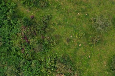 İngiltere 'nin Crowcombe Köyü ve Vadisi Büyük Britanya