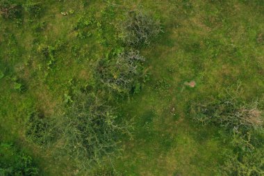 İngiltere 'nin Crowcombe Köyü ve Vadisi Büyük Britanya