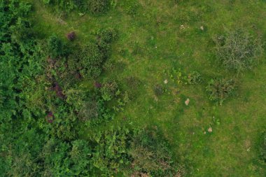 İngiltere 'nin Crowcombe Köyü ve Vadisi Büyük Britanya