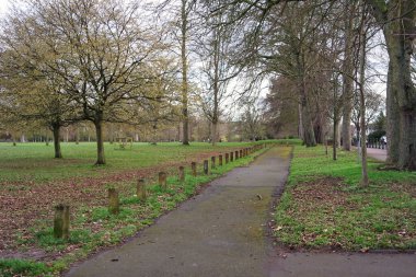 Şehir parkındaki ağaçların gündüz manzarası. Güneşli bahar günü 
