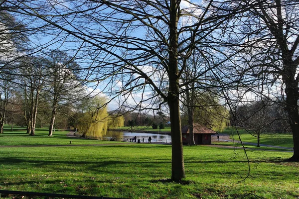 Piękny Widok Wardown Museum Park Drzew Luton Anglia — Zdjęcie stockowe