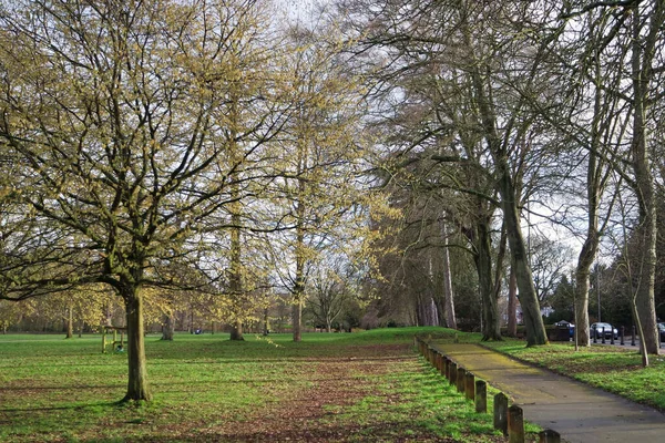 Όμορφη Θέα Του Wardown Museum Park Και Δέντρα Στο Luton — Φωτογραφία Αρχείου