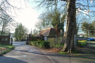 İngiltere Luton 'daki Wardown Müzesi Parkı ve Ağaçlarının Güzel Manzarası