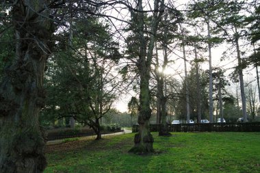 İngiltere Luton 'daki Wardown Müzesi Parkı ve Ağaçlarının Güzel Manzarası