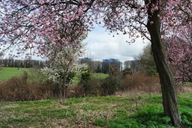 İngiltere 'nin Kuzey Luton Kasabası Kamu Parkı