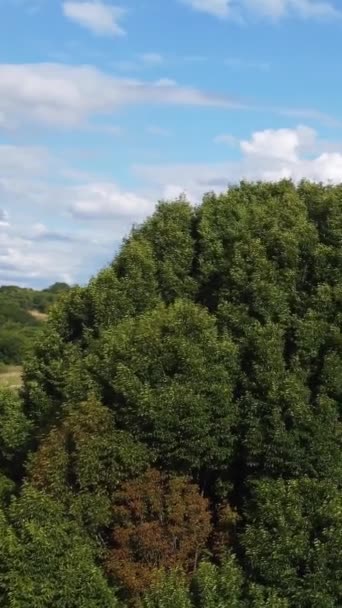 ルトン イギリスの公園の空中写真 — ストック動画