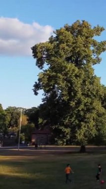 ENGLAND, LUTON TOWN - 04th April 2022: Genç İngiliz Kadınlardan oluşan bir grup, Wardown Halk Parkı Yüksek Açılı Görüntü Parkı 'nda egzersiz yapıyor. Luton Kasabası 'nda Parlak Güneşli Gün