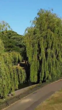 Park 'ta Ağaçlar, Luton Town, İngiltere, İngiltere. 15 Temmuz 2022 