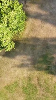 ENGLAND, LUTON TOWN - 04th April 2022: Genç İngiliz Kadınlardan oluşan bir grup, Wardown Halk Parkı Yüksek Açılı Görüntü Parkı 'nda egzersiz yapıyor. Luton Kasabası 'nda Parlak Güneşli Gün