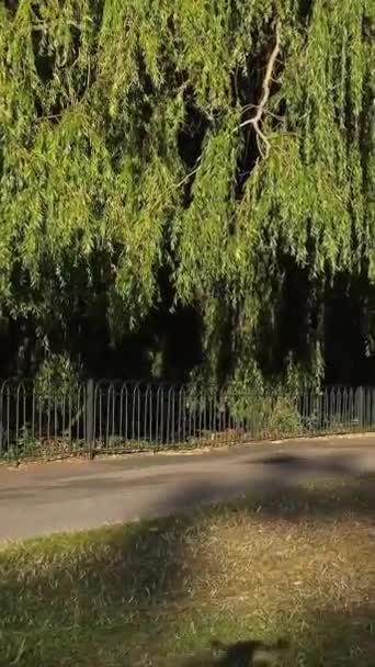 England Luton Město Červen 2022 Vysokoúhlý Záběr Wardownova Veřejného Parku — Stock video