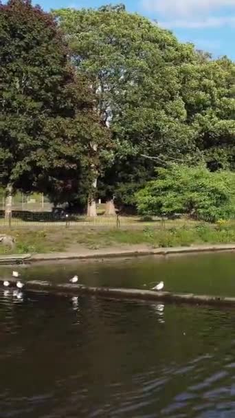 England Luton Město Červen 2022 Vysokoúhlý Záběr Wardownova Veřejného Parku — Stock video