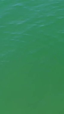 BİRLİK KINGDOM, BOURNEMOUTH BEACH - 18 Temmuz 2022: insanlar yaz tatillerinde eğleniyorlar. Yüksek Açı Drone Kamera Görünümü