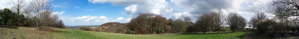 Hermosa Vista Del Parque Público Luton Ciudad Inglaterra Reino Unido —  Fotos de Stock