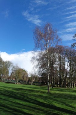 Baharda güzel bir park manzarası