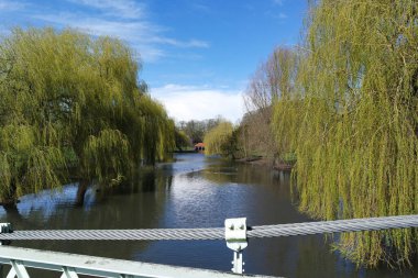 Yerel Halk Parkı ve Güzel Ağaçlar İngiltere 'nin Luton kasabasında Açık ve Soğuk bir Mart 2023.