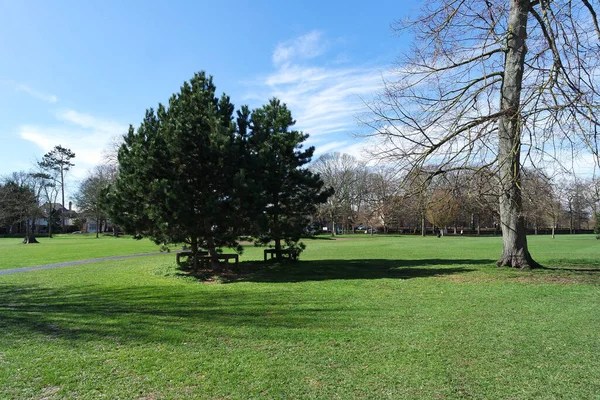 Lokal Offentlig Park Och Vackra Träd Klar Och Kall Dag — Stockfoto