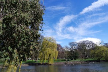 İngiltere, İngiltere 'deki park manzarası