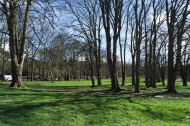 İngiltere, İngiltere 'deki park manzarası