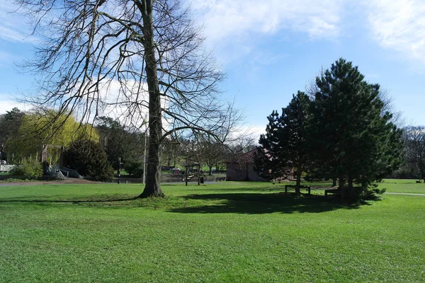 地元の公園と美しい木3月の明確で寒い日2023イギリスのルトンタウンで — ストック写真