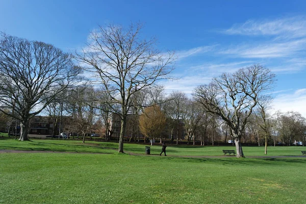 stock image Local Public Park and Beautiful Trees a Clear and Cold Day of March 2023 at Luton Town of England UK.